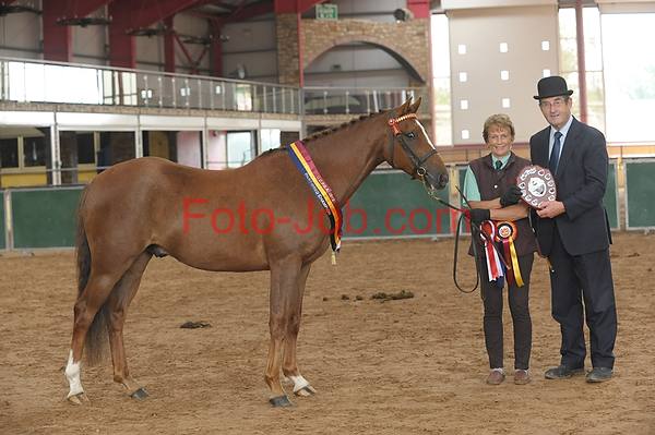 Preview 14_CF3_2115.jpg